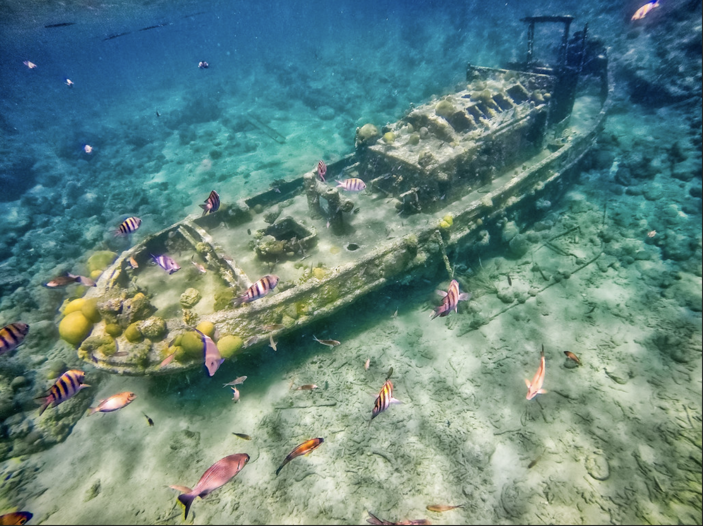 The best diving spots of Curaçao!